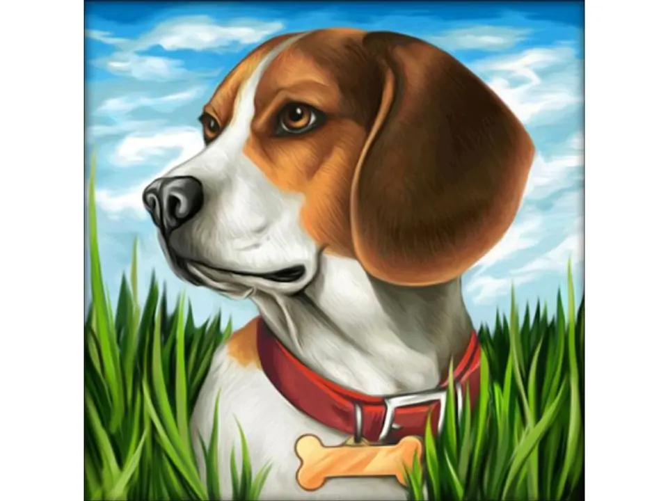 ⁨Diamond embroidery, picture, diamond mosaic diamond painting, BEAGLE DOG 30x30cm⁩ at Wasserman.eu