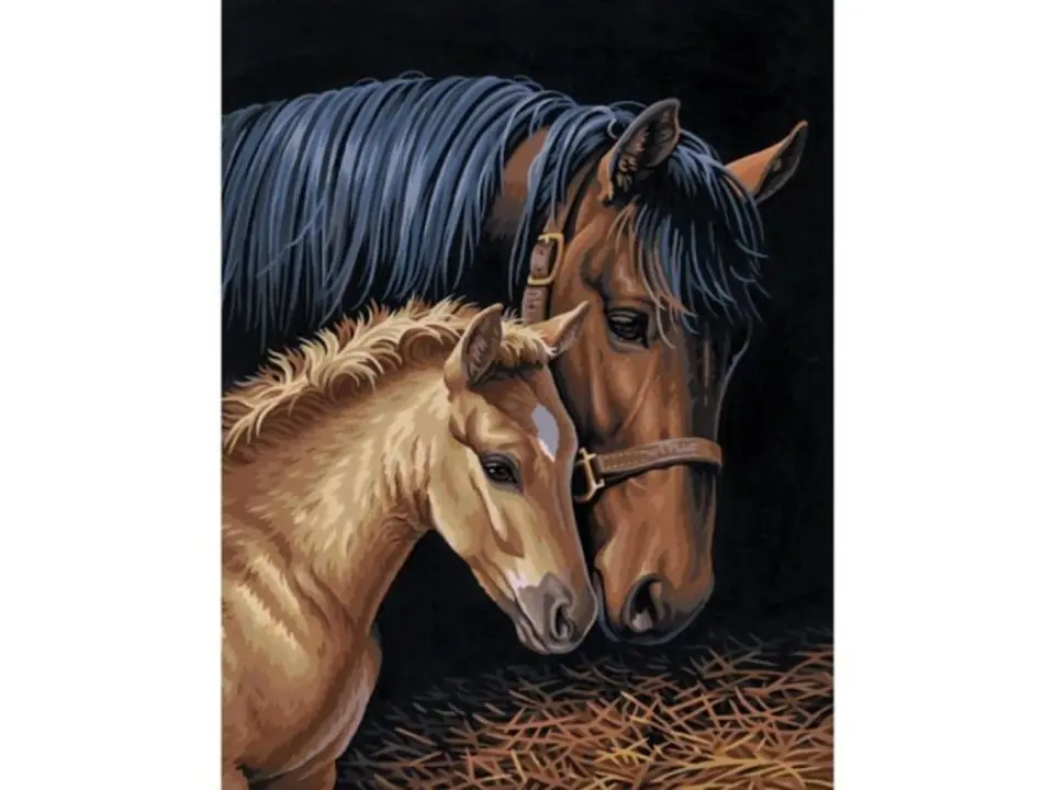 ⁨Diamond Embroidery, Picture, Diamond Mosaic Painting, HORSE AND FOAL 30x40cm⁩ at Wasserman.eu