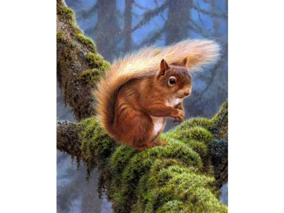 ⁨Diamond embroidery, painting, diamond mosaic diamond painting, SQUIRREL 30x40cm⁩ at Wasserman.eu