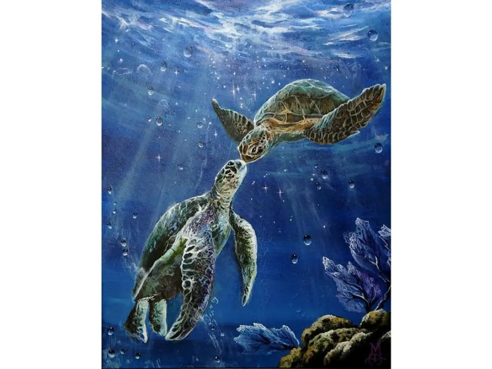 ⁨Diamond Embroidery, Painting, Diamond Mosaic Diamond Painting, SEA TURTLES 30x40cm⁩ at Wasserman.eu