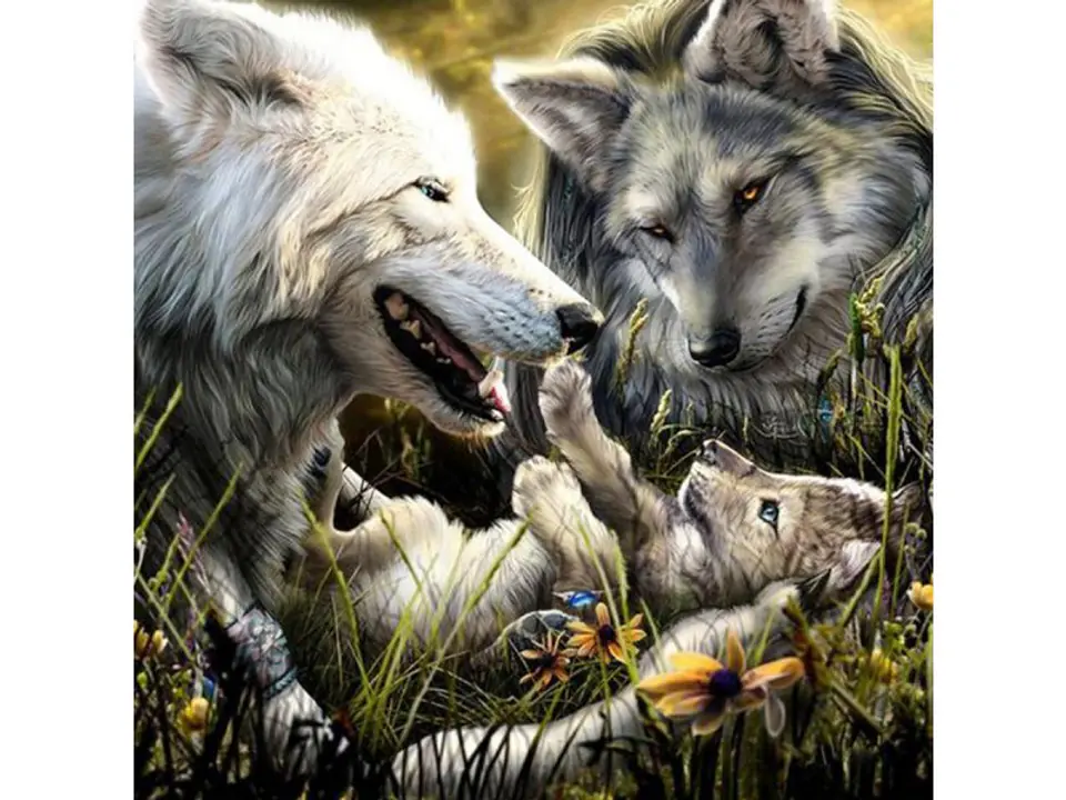 ⁨Diamond Embroidery, Painting, Diamond Mosaic Diamond Painting, WOLF FAMILY Wolves 30x30cm⁩ at Wasserman.eu