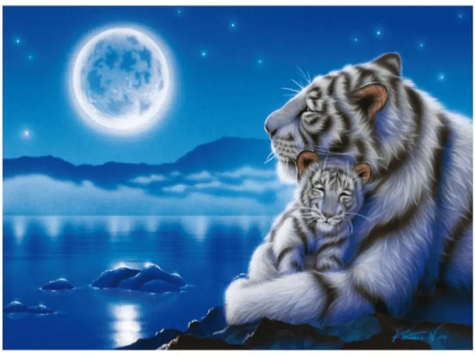 ⁨Diamond Embroidery, Painting, Diamond Mosaic Diamond Painting, WHITE TIGERS IN THE MOONLIGHT 40x30cm⁩ at Wasserman.eu