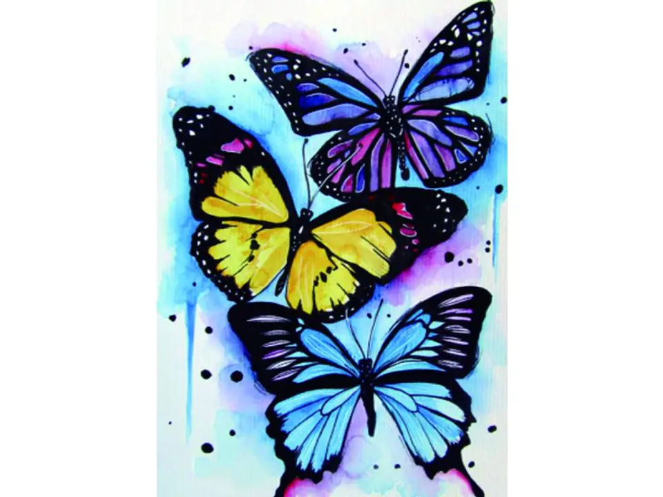 ⁨Diamond embroidery, painting, diamond mosaic diamond painting, COLORFUL BUTTERFLIES 30x40cm⁩ at Wasserman.eu