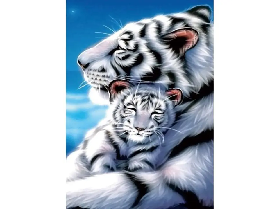 ⁨Diamond Embroidery, Painting, Diamond Mosaic Diamond Painting, WHITE TIGERS 30x40cm⁩ at Wasserman.eu