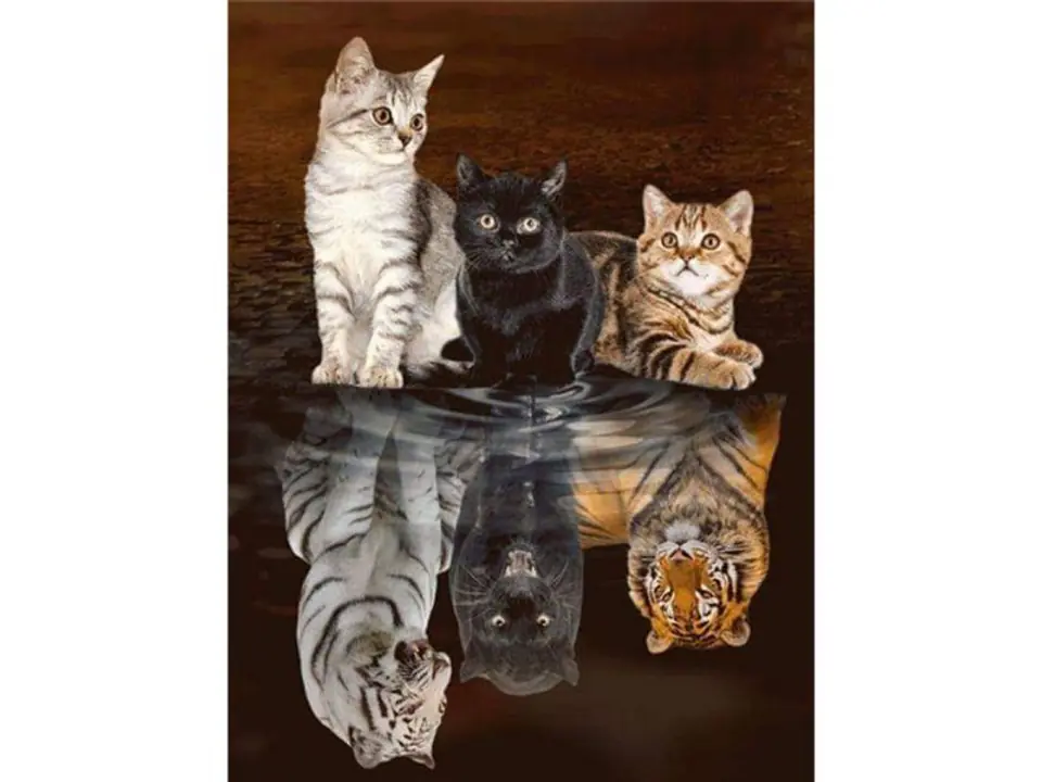 ⁨Diamond embroidery, picture, diamond mosaic diamond painting, MIRROR IMAGE - THREE CATS 30x40cm⁩ at Wasserman.eu