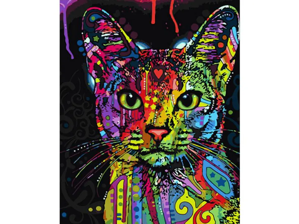 ⁨Diamond embroidery, picture, diamond mosaic diamond painting, CAT IN COLOR 30x40cm⁩ at Wasserman.eu