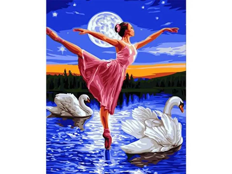 ⁨Diamond Embroidery, Painting, Diamond Mosaic Diamond Painting, SWAN LAKE Ballerina 30x40cm⁩ at Wasserman.eu