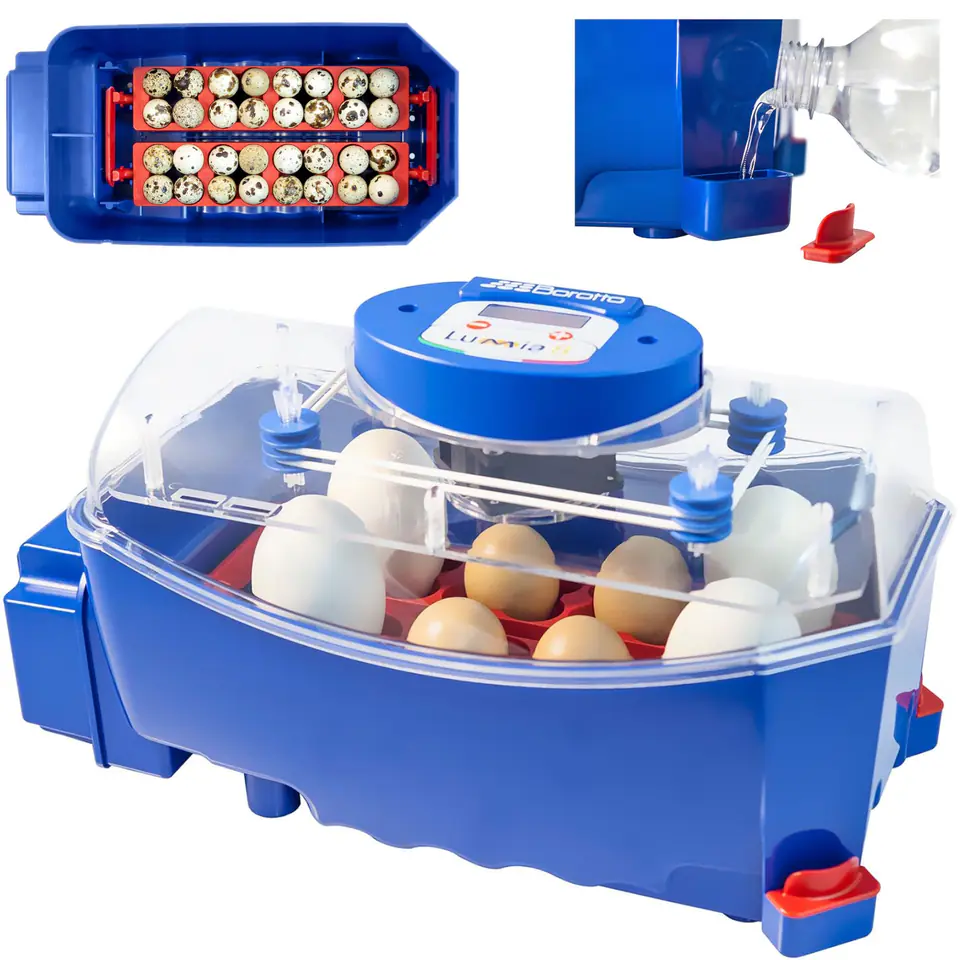 ⁨Inkubator klujnik do 8 jaj automatyczny z dystrybutorem wody profesjonalny 50 W⁩ w sklepie Wasserman.eu