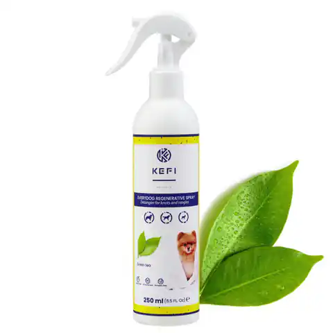 ⁨KEFI ANIMALS Everydog Regenerative Spray 250ml⁩ w sklepie Wasserman.eu