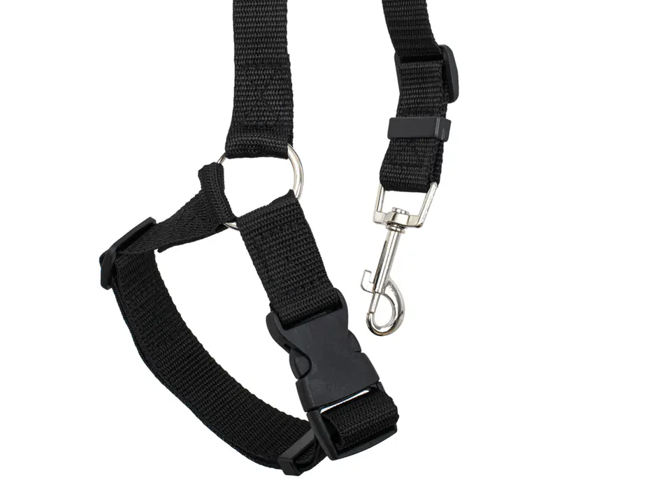 ⁨Car leash seat belts for dog cat⁩ at Wasserman.eu