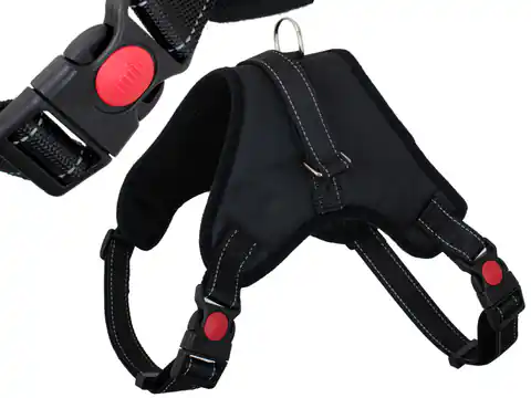 ⁨Pressure-free dog harness comfortable reflective XL⁩ at Wasserman.eu
