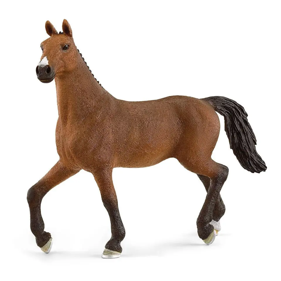 ⁨Figure Mare of the Oldenburg Horse Club⁩ at Wasserman.eu