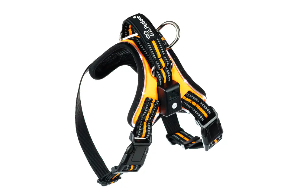 ⁨PETLOVE Single LED harness for dogs M orange [SZELLEDZMOR]⁩ at Wasserman.eu