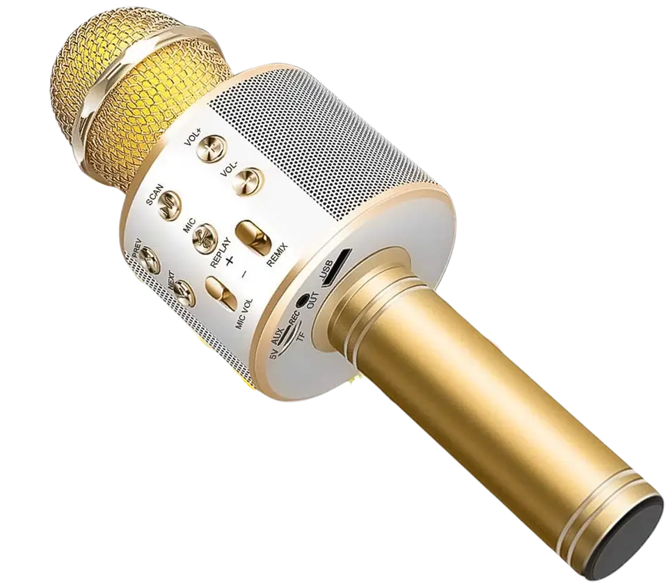 ⁨Wireless Karaoke Microphone with Play Controller Gold⁩ at Wasserman.eu