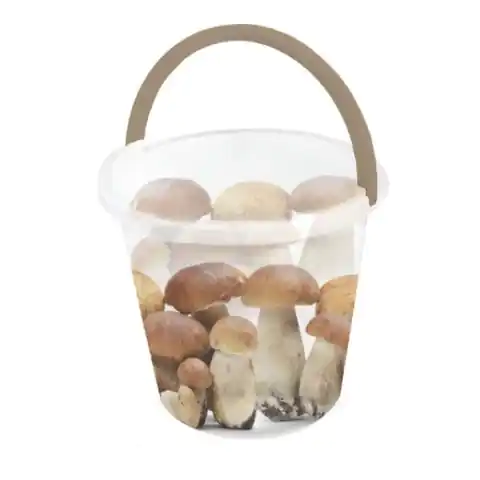 ⁨Bucket with spout with print Mushrooms 10l⁩ at Wasserman.eu