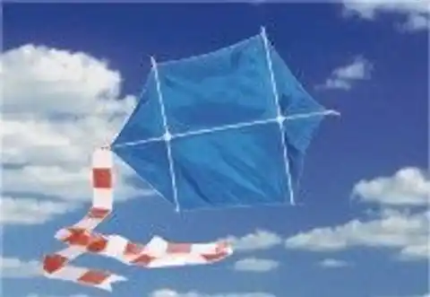 ⁨GROSSER STABILER Kite 3D Pawik SUPER SPIELZEUG⁩ im Wasserman.eu