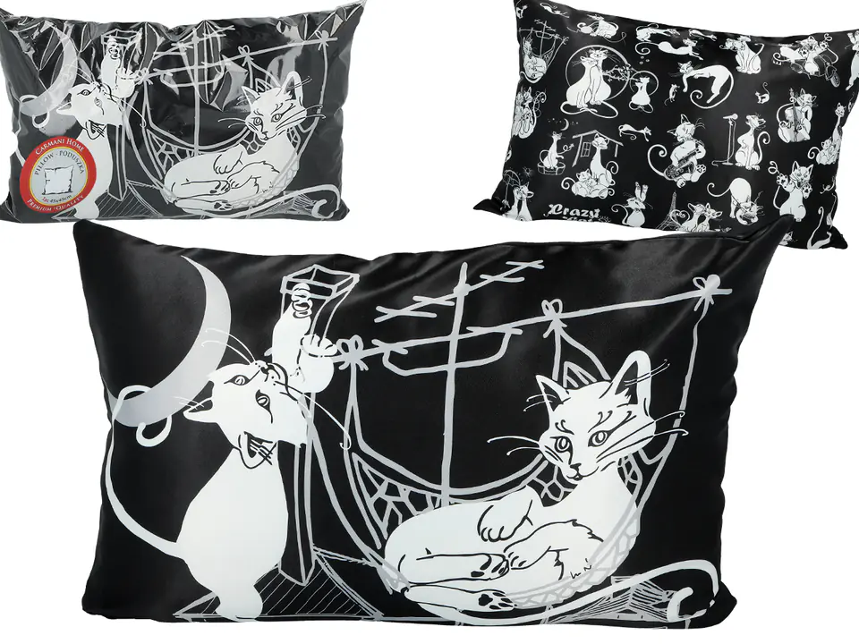 ⁨Pillow with filling/zipper (large) - Cat's world, Roof Party (black background) (CARMANI)⁩ at Wasserman.eu