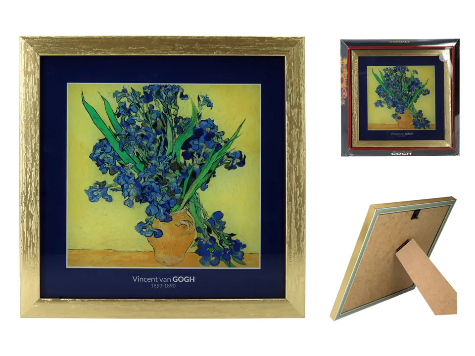 ⁨Picture - V. van Gogh, Irises (CARMANI)⁩ at Wasserman.eu