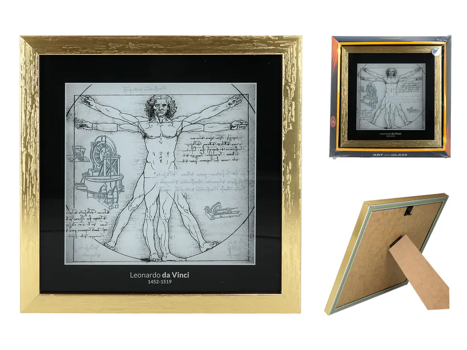 ⁨Picture - L. da Vinci, The Vitruvian Man (CARMANI)⁩ at Wasserman.eu