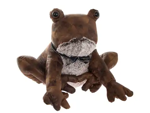 ⁨Bumper - Frog⁩ at Wasserman.eu