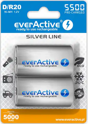 ⁨Rechargeable batteries everActive R20/D Ni-MH 5500 mAh ready to use⁩ at Wasserman.eu