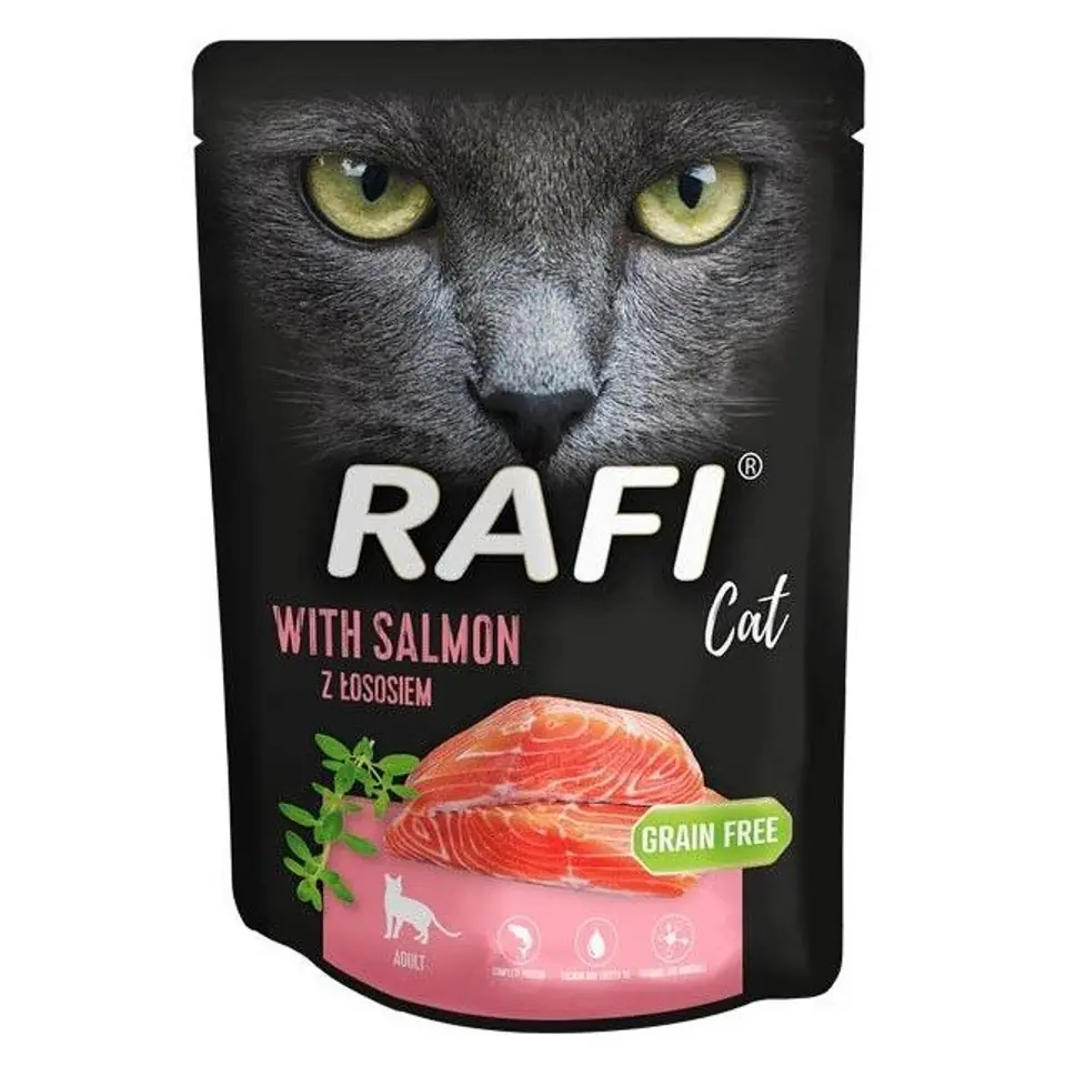 ⁨DOLINA NOTECI RAFI CAT with salmon - Wet cat food - 300 g⁩ at Wasserman.eu
