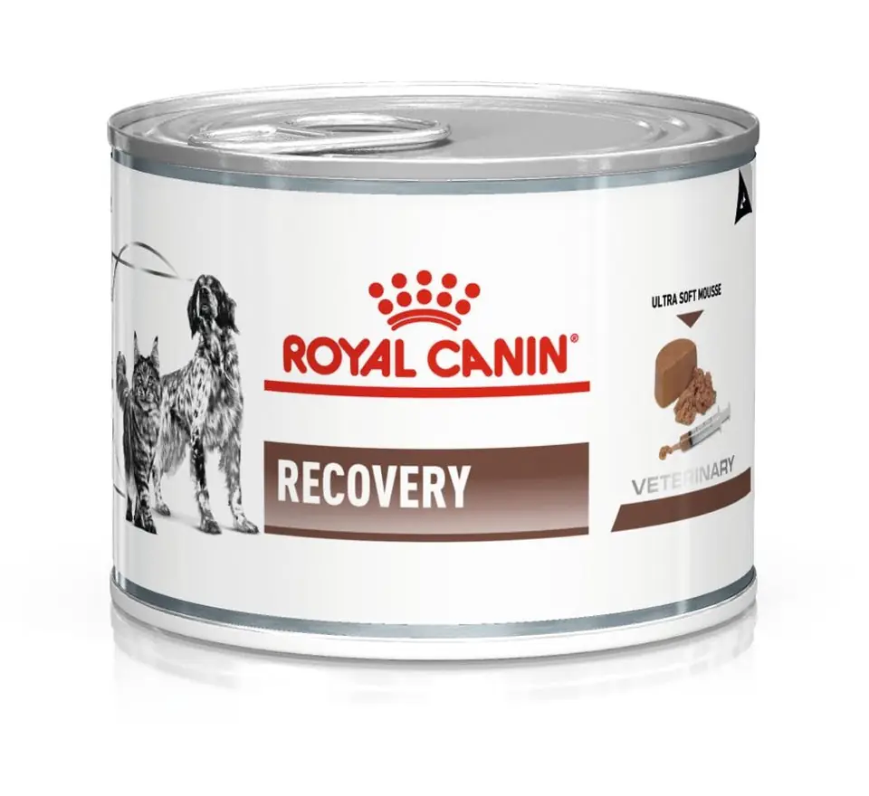 ⁨ROYAL CANIN Recovery Wet dog and cat food Mousse Poultry, Pork 195 g⁩ at Wasserman.eu