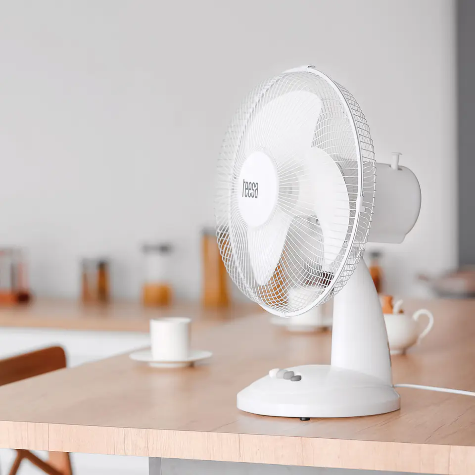 ⁨TEESA table fan⁩ at Wasserman.eu