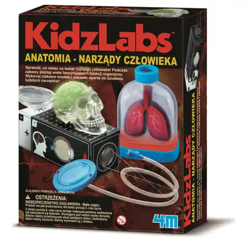 ⁨Anatomia Narządy Człowieka KidzLabs 4M⁩ w sklepie Wasserman.eu
