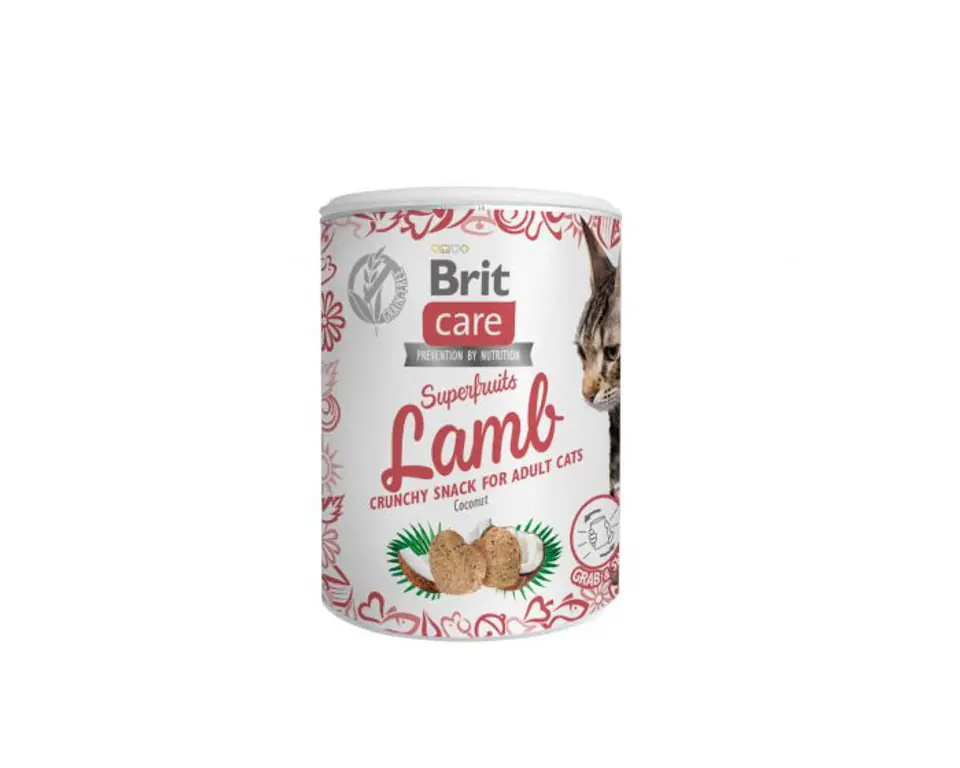 ⁨BRIT CARE CAT SNACK SUPERFRUITS LAMB 100g⁩ at Wasserman.eu