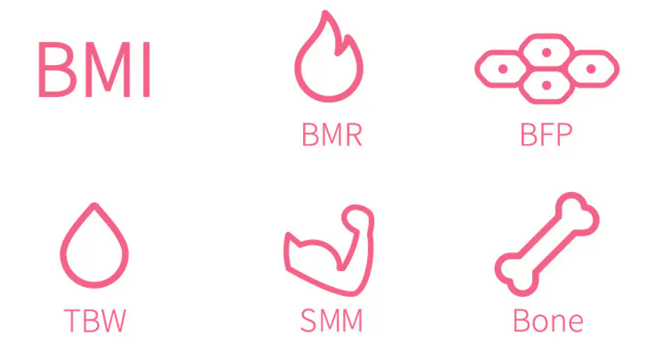 Interactive scale with HiMirror Smart Body Scale