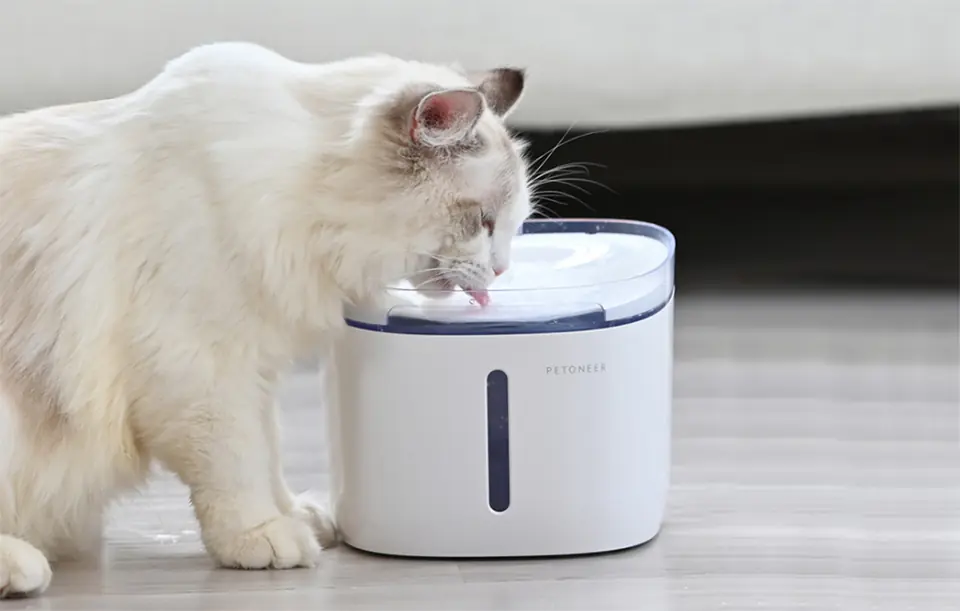 Smart fountain/drinker for dog and cat Petoneer Fresco Mini Plus (WIFI)