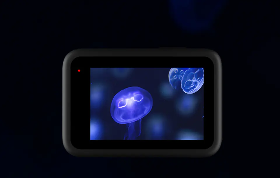 Telesin Screen & Lens Protector Film for GoPro Hero 9 / Hero 10 (GP-FLM-902)