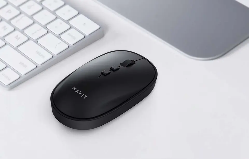 Havit MS79GT Wireless Universal Mouse (Black)