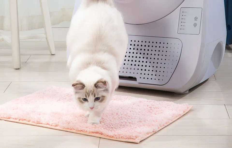 Catlink Scooper Young Version Smart Self-Cleaning Cat Litter Box