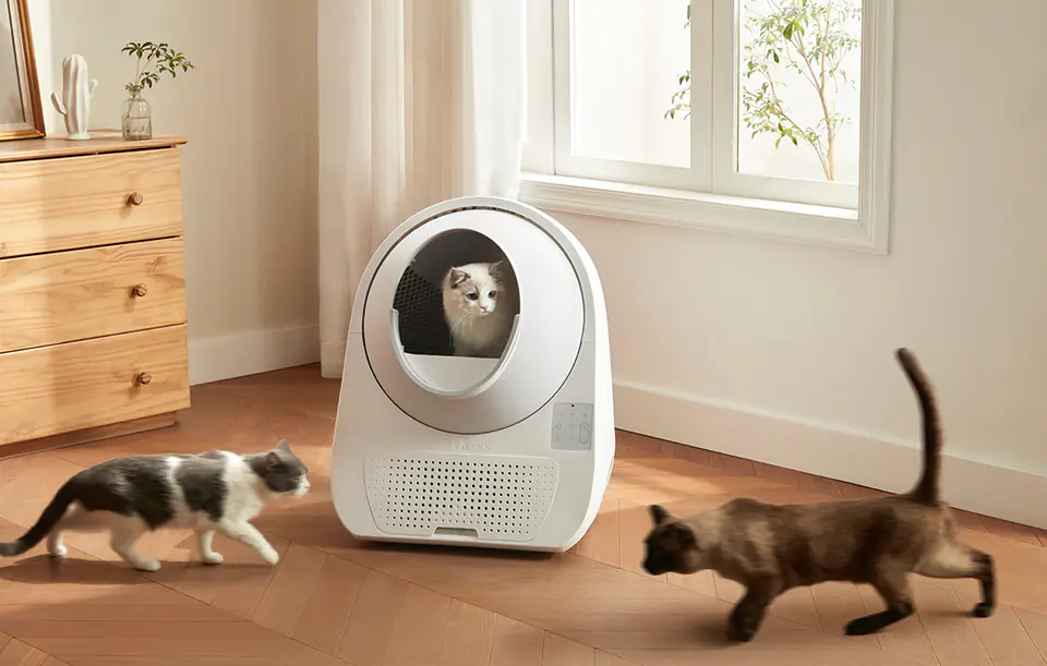 Catlink Scooper Luxury Version Smart Self-Cleaning Cat Litter Box