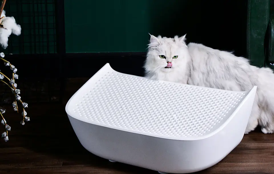 Stairs to Catlink Scooper litter boxes