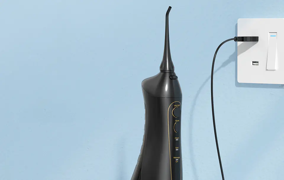 Sonic toothbrush with tip set and irrigator FairyWill FW-5020E + FW-E11 (black)