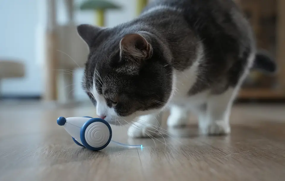 Interaktywna zabawka dla kotów Cheerble Wicked Mouse (Niebieski)