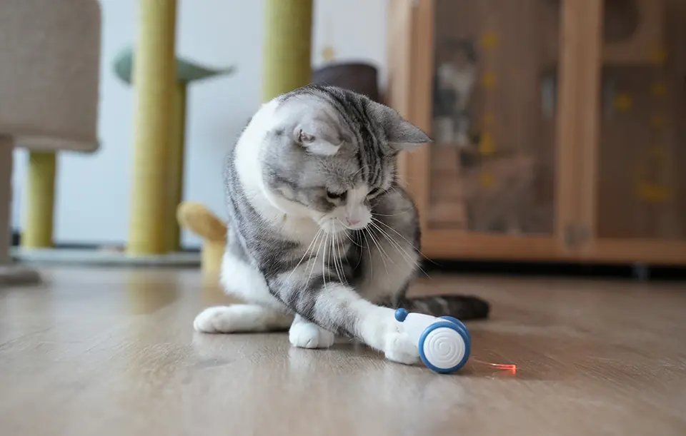 Interaktywna zabawka dla kotów Cheerble Wicked Mouse (Niebieski)