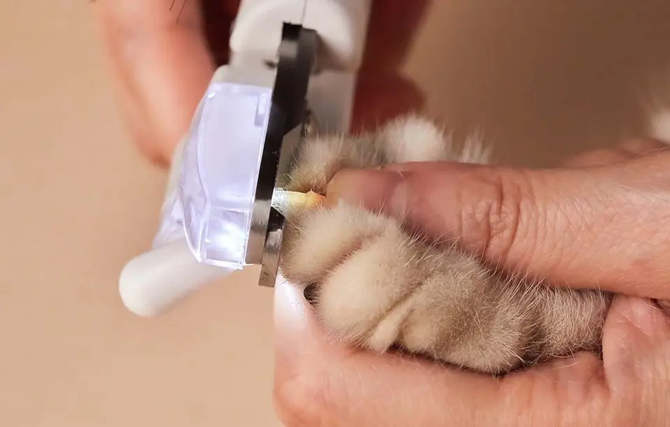 Nożyczki do obcinania pazurów PetKit z lampką LED