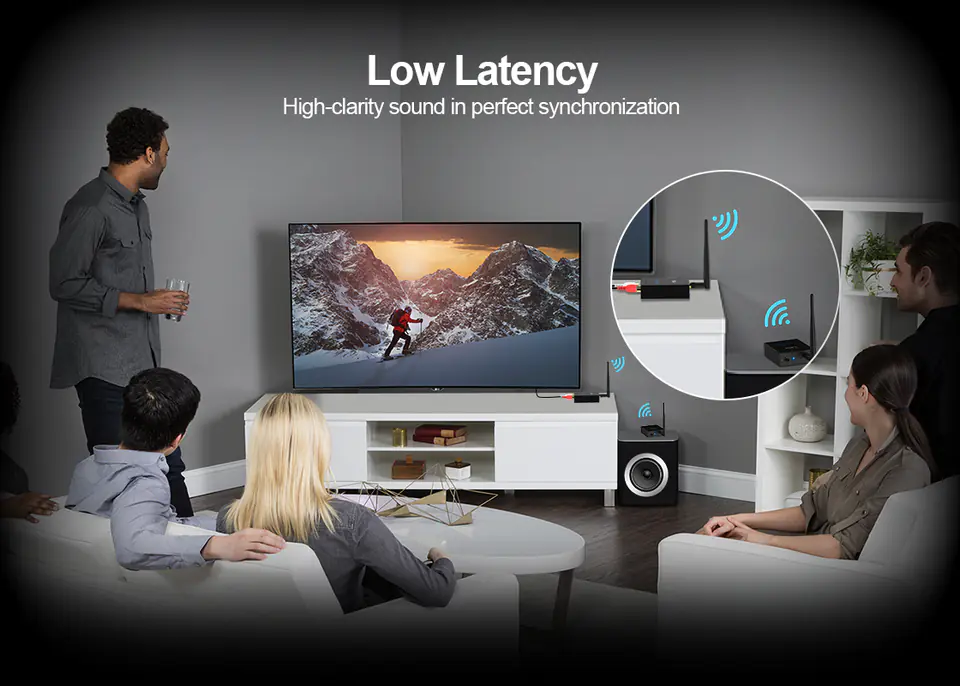 RT5066 Wireless Audio Extender 2.4GHz 100m