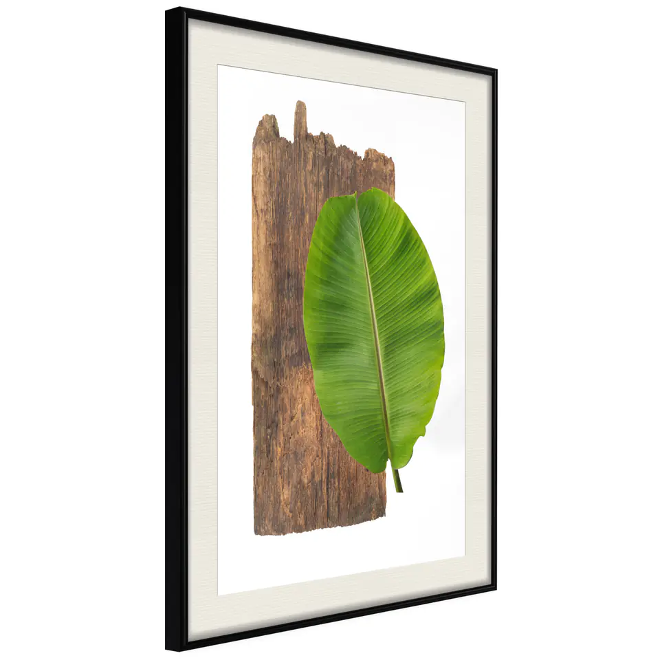 Poster - Forest nature size 20x30, finish Black frame with passe-partout