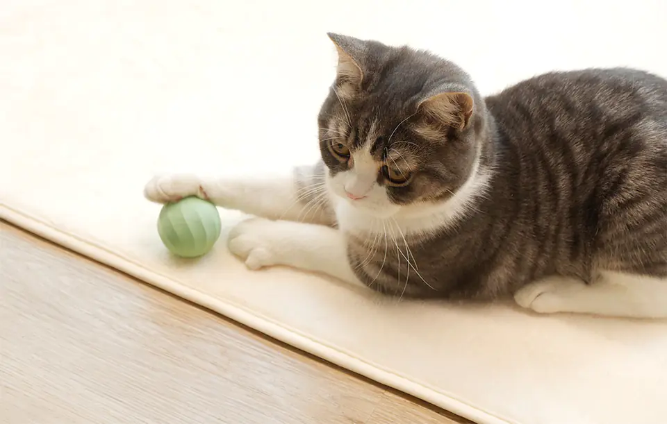 Interaktywna piłka dla kotów Cheerble Ice Cream (Zielona)