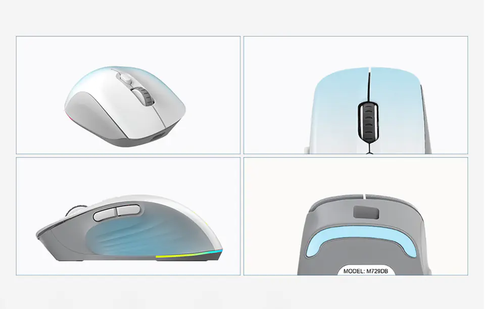 Delux M729DB Wireless Gaming Mouse, BT+2.4G 16000DPI (White)