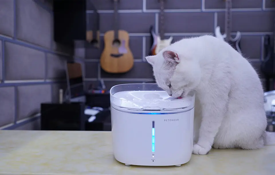 Smart fountain/drinker for dog and cat Petoneer Fresco Pro