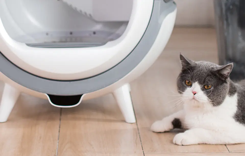 Petwant smart self-cleaning cat litter box