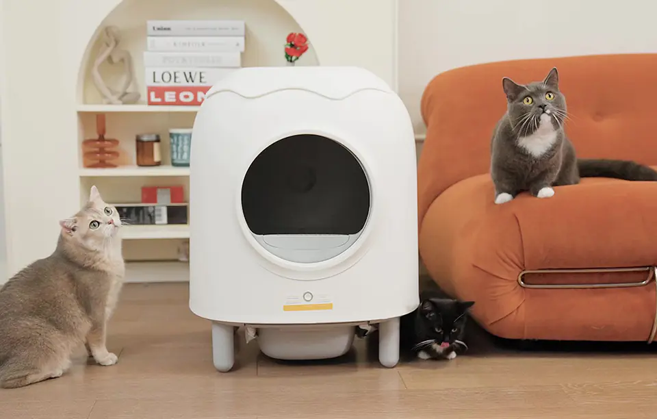 HHOLove iPet Smart Self-Cleaning Cat Litter Box