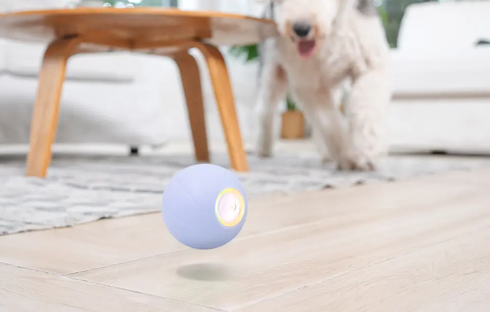 Interactive Pet Ball Cheerble Ball PE (Purple)
