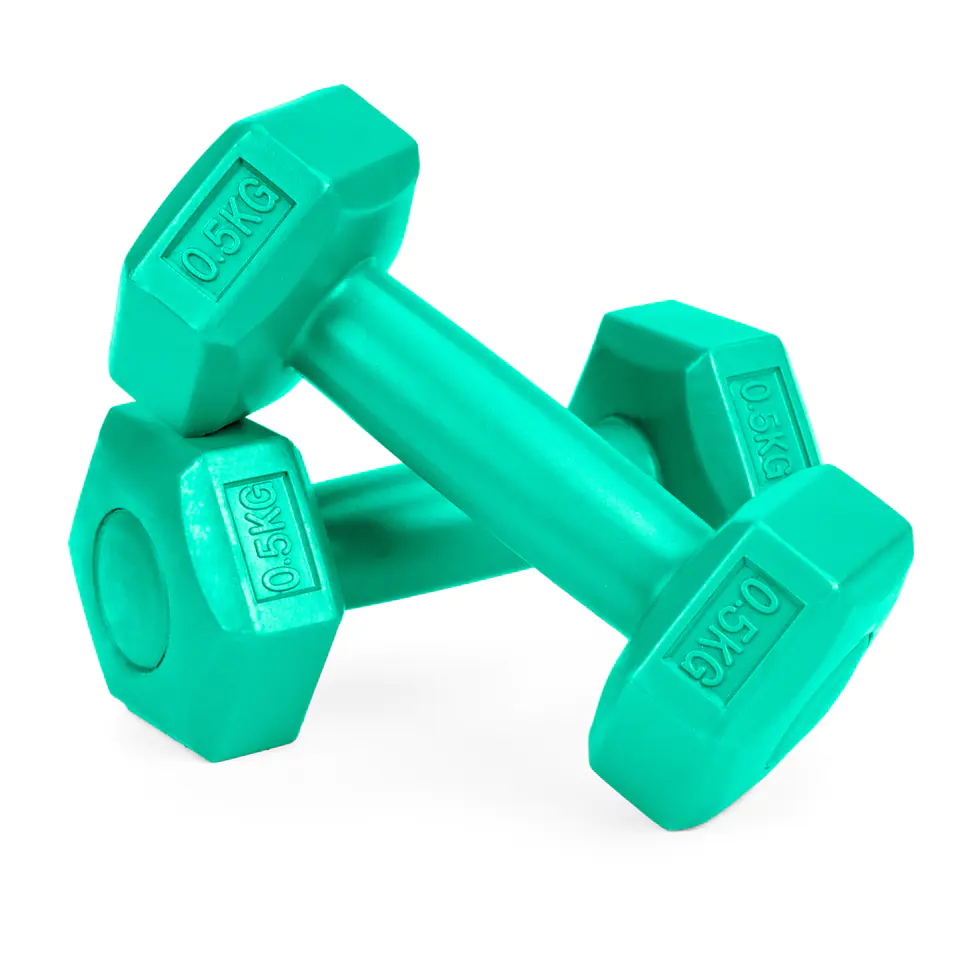 Fitness dumbbells, set dumbbells, weights 2x 0,5 kg